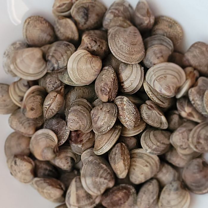 Cazuela de arroz